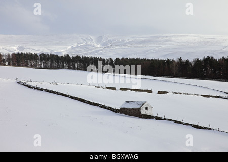 Coldberry Rinne und Hardberry Hill von der Strecke über Bowlees im Winter Teesdale County Durham Stockfoto