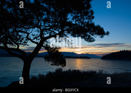 Winter-Sonnenaufgang am eisigen Canyon Fähre See, Montana USA Stockfoto