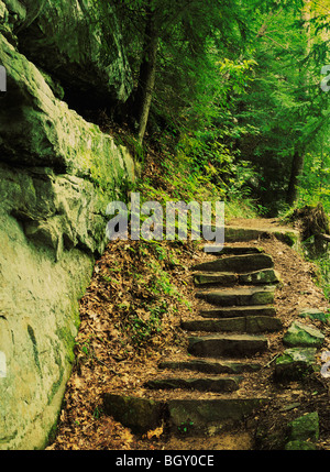 Rock-Treppe auf Trail führt zu Eagle Falls, Cumberland Falls State Park, KY Stockfoto