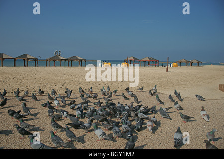 Die Gnade von Tel aviv Stockfoto