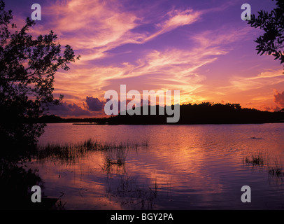Sonnenuntergang am Paurodus Teich im Everglades National Park, Florida Stockfoto