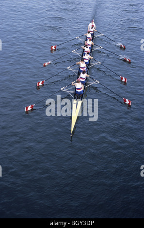 acht Sportler Rudern auf einem Fluss Stockfoto