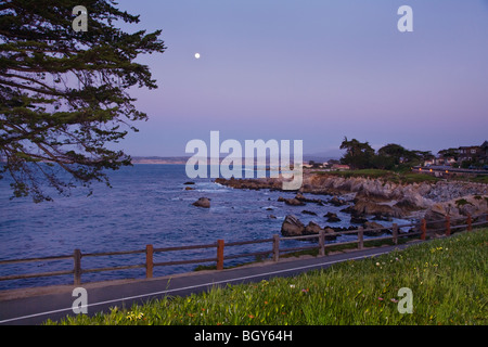 Monterey-Zypresse und Mond steigen entlang des SCENIC DRIVE - PACIFIC GROVE, Kalifornien Stockfoto