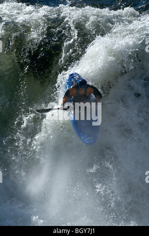 Ein Kajakfahrer Tropfen Steelhead fällt auf den Deschutes River. Stockfoto