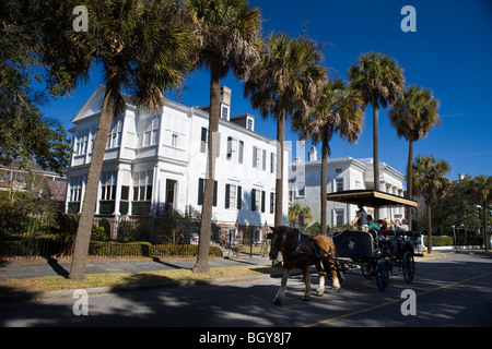 Pferd zieht eine Beförderung Reisegruppe vor Palmetto Bäume säumen South Battery Street mit großen Villen, Charleston Stockfoto