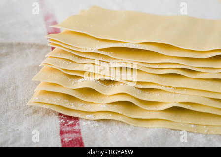 Frische hausgemachte Lasagne Blätter Stockfoto