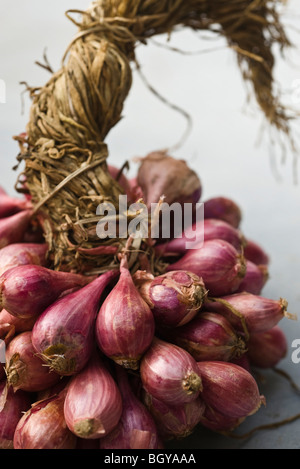 Reihe von Schalotten Stockfoto