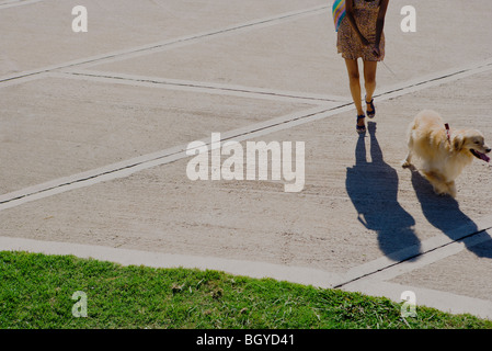 Frau zu Fuß Hund im Park, beschnitten Stockfoto