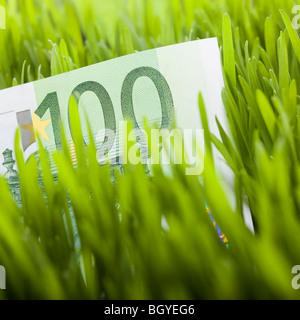 100 Euro-Schein in Rasen Stockfoto