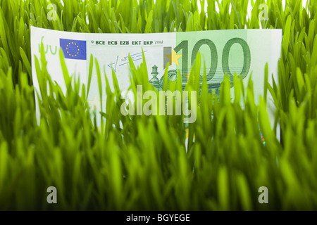 100 Euro-Schein in Rasen Stockfoto