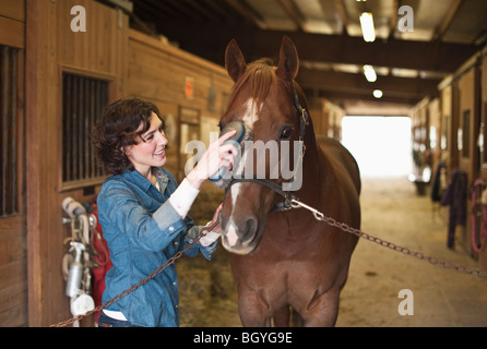 Frau Pflege Pferd Stockfoto