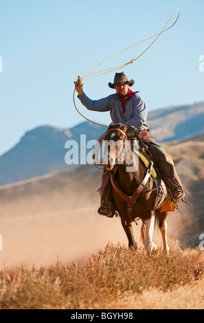 Cowboy Stockfoto