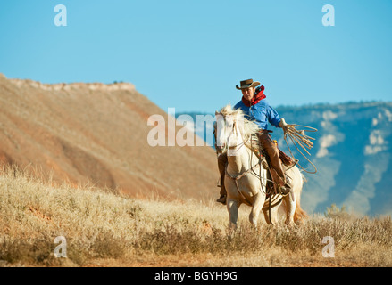 Cowboy Stockfoto