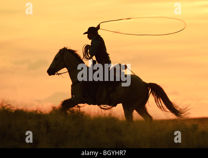 Reiterin Stockfoto