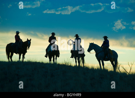 Reiter Stockfoto