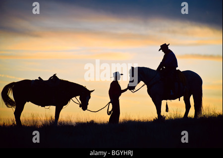 Reiter Stockfoto