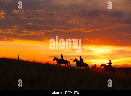 Reiter bei Sonnenuntergang Stockfoto