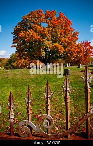 Friedhof Stockfoto