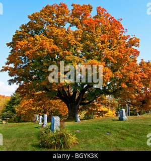 Friedhof Stockfoto