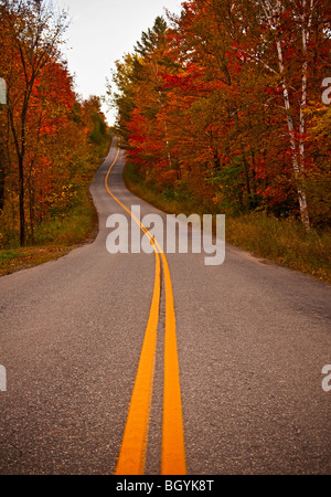 Straße im Herbst Stockfoto