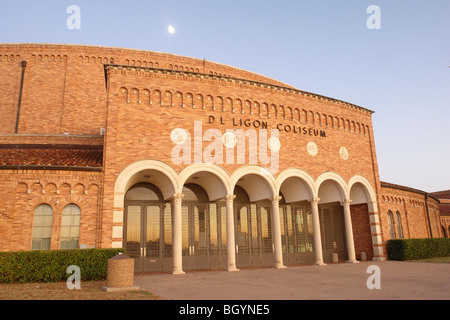 Wichita Falls, TX, Texas Midwestern State University, DL Ligon Coliseum, Abend Stockfoto