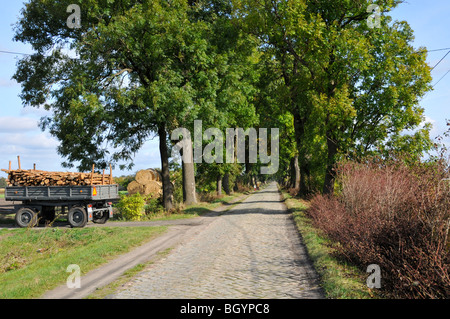 Lange gerade gepflasterte Straße in Polen landwirtschaftliche Landschaft mit gehacktem Holz auf Anhänger in Einfahrt Stockfoto