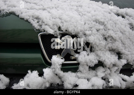 Eine schneebedeckte Peugeot Auto zeigt den Kühlergrill und Abzeichen. Stockfoto