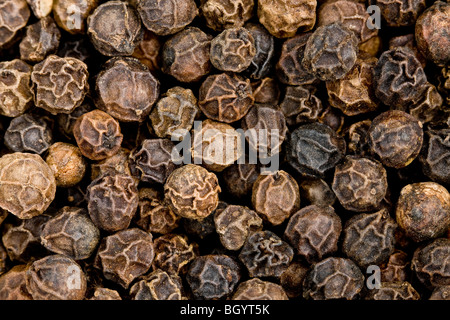 Haufen von schwarzem Pfeffer Samen Stockfoto