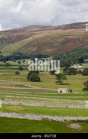 Felder, Trockenmauern und Gebäude in Arncliffe, in den Yorkshire Dales Stockfoto