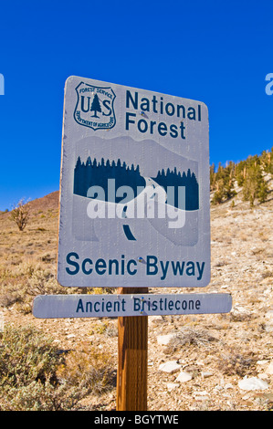 National Forest scenic Byway Zeichen, Ancient Bristlecone Pine Forest, Inyo National Forest, White Mountains, Kalifornien Stockfoto