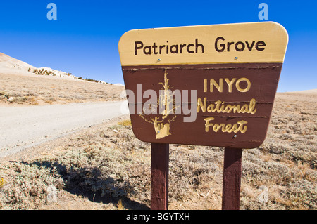 Schild an der Patriarch Grove, Ancient Bristlecone Pine Forest, Inyo National Forest, White Mountains, Kalifornien Stockfoto