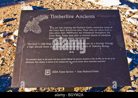 Interpretierende Zeichen bei der Patriarch Grove, Ancient Bristlecone Pine Forest, Inyo National Forest, White Mountains, Kalifornien Stockfoto