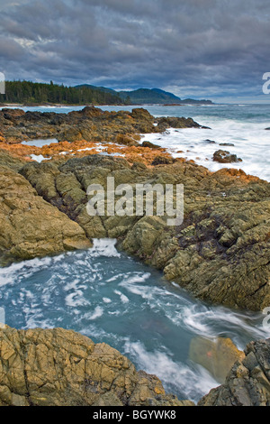 Zerklüftete Küste und Wave Aktion entlang der Westküste am Kap Palmerston, Nordinsel Vancouver, Vancouver Island, British C Stockfoto