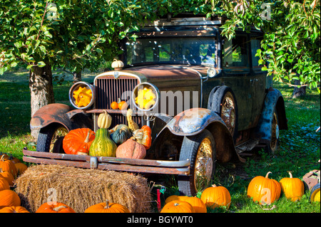 Oldtimer und Kürbisse auf dem Display an einem produzieren stall in Keremeos, Okanagan-Similkameen Region Okanagan, Britisch-Kolumbien, Dose Stockfoto