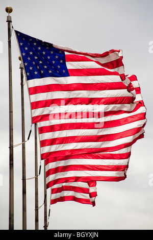 Acht amerikanische Flaggen blähen bei starkem Wind in Detroit, Michigan. Stockfoto