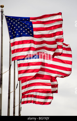 Acht amerikanische Flaggen blähen bei starkem Wind in Detroit, Michigan. Stockfoto