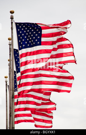 Acht amerikanische Flaggen blähen bei starkem Wind in Detroit, Michigan. Stockfoto