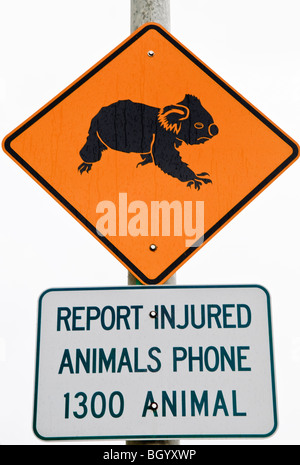 Koala Crossing Warning Sign Brisbane Australien | BRISBANE, Australien – Ein Schild aus nächster Nähe zu Ipswich, Queensland, zeigt das schwarze Silhouettensymbol, das in ganz Australien verwendet wird, um Fahrer vor einheimischen Wildtieren auf der Straße zu warnen. Auf dem Schild unten ist eine spezielle Telefonleitung für die Meldung verletzter Tiere aufgeführt, die Teil eines koordinierten Ansatzes zur Verringerung der Zahl der Verkehrstoten im Koala-Lebensraum ist. Stockfoto