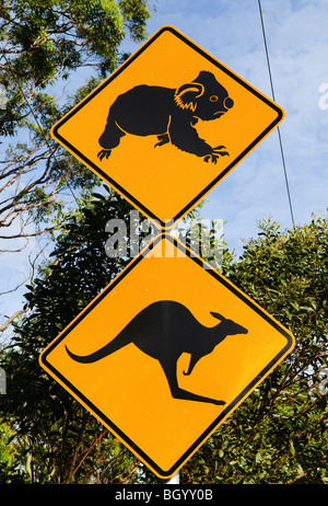 Koala Kangaroo Crossing Sign Brisbane Australien | BRISBANE, Australien — zwei gelbe Diamantschilder in Carindale zeigen einen Koala und ein Känguru in schwarzer Silhouette und warnen Fahrer vor Beutelkreuzungen entlang einer Buschland-Straße. Die Verkehrsbehörden von Queensland stellen solche Schilder auf, wo dokumentierte Wildtieraktivitäten Verkehrskorridore in Vorstadtgebieten kreuzen, was Teil einer umfassenderen Bemühung ist, Kollisionen mit einheimischen Arten zu verringern. Stockfoto