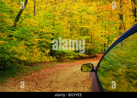 Kies Straße führt durch Herbstfarben Stockfoto