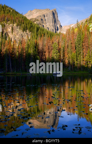 Nymphe See, Rocky Mountain National Park, Colorado. Stockfoto