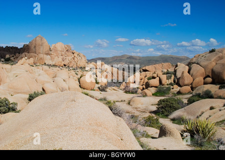 Granit Felsformationen in Joshua Tree Nationalpark, Kalifornien. Stockfoto