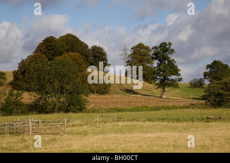 Venta Icenorum Caistor St Edmund Norfolk Landschaft Stockfoto