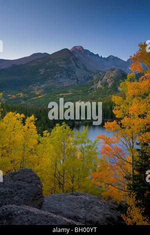 Herbstfarben am Bear Lake, Rocky Mountain National Park, Colorado. Stockfoto