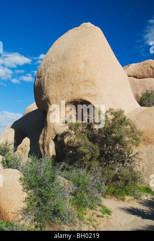 Skull Rock eines Granit-Felsformationen in Joshua Tree Nationalpark, Kalifornien Stockfoto