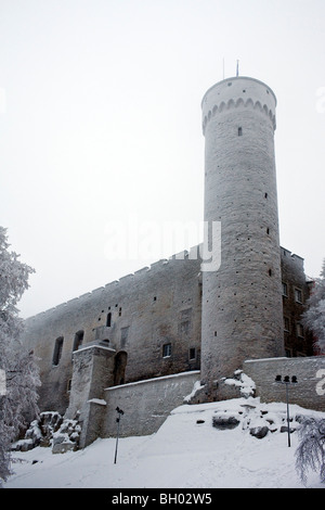 Pikk Hermann Turm und Burg auf dem Domberg in Tallinn, Estland. Estnische Parlamentsgebäude Stockfoto