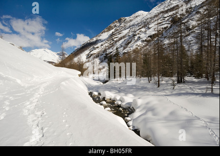 Italien, Aosta-Tal, Nationalpark Gran Paradiso, Winterlandschaft Stockfoto