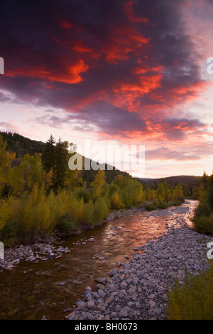 Anthrazit Creek mit Herbstfarben bei Sonnenuntergang entlang Kebler Pass Road, Colorado. Stockfoto