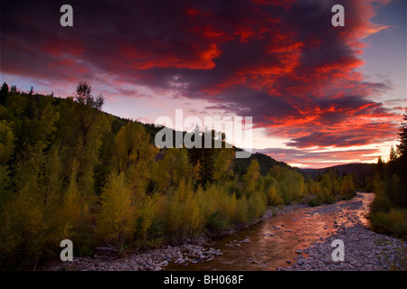 Anthrazit Creek mit Herbstfarben bei Sonnenuntergang entlang Kebler Pass Road, Colorado. Stockfoto