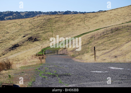 unbefestigte Straße bedeckt Gras schlängelt sich durch die Hügel von Zentral-Kalifornien Stockfoto